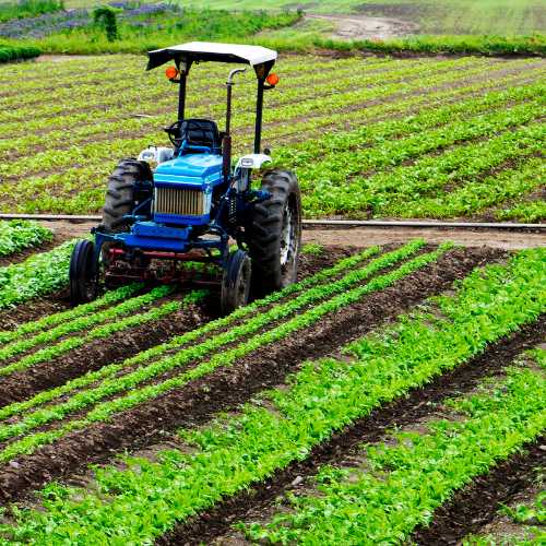 Agriculture